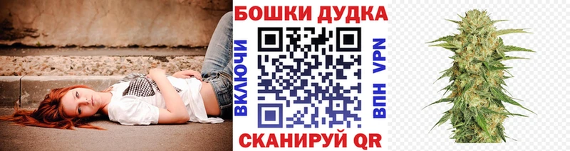 Конопля MAZAR  что такое   Новотитаровская 
